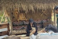 1765775180536-salah-satu-pengunjung-berinteraksi-dengan-satwa-rubah-fennec-di-wahana-jungle-encounter-bali-zoo-senin-15122025-ni-komang-ayu--1765766428924_43