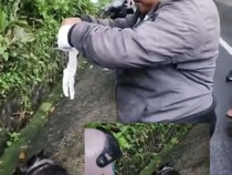 1765818326789-anjing-rabies-1765806474627_43