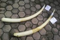 1765883117115-9aee6b45-219d-4ec3-9b4c-670bd062eb73_43