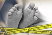 1765883120196-ad74c05f-f503-42fe-812b-0e539c1e0926_43