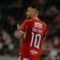1765904721064-gelandang-bali-united-mirza-mustafic-1762237766146_43