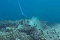 1766055974877-jangkar-rusak-terumbu-karang-1761548934357_43