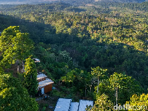 1766228733018-pemandangan-gunung-rinjani-dari-lokasi-sajang-retreat-1766216642755_43