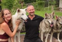 1766336716183-pengunjung-berinteraksi-dengan-kawanan-serigala-saat-menunggu-pesanan-makanan-di-alpha-wolf-lodge-tabanan-bali-minggu-21122025-1766328093682_169