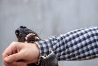 1767006337845-ilustrasi-digigit-anjing_43