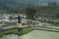 1767157579600-potret-ramainya-bali-diserbu-turis-asing-1_169