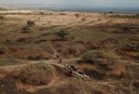 1767589617348-0719f003-ee48-421a-9ec7-a908acfc26f3_43