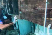 1767719118276-tangkapan-layar-penyelam-menyusuri-bagian-dalam-bangkai-kapal-pinisi-putri-sakinah-yang-terdampar-di-pantai-pede-pulau-komodo--1767712175946_169