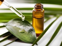 1767762355691-ilustrasi-minyak-kayu-putih-1767753077302_43