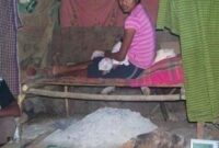 1767848757566-ilustrasi-seorang-ibu-dan-bayinya-saat-menjalankan-tradisi-sei-di-pulau-timor-ntt-dok-athena-a-dan-rachmalina-soerachman-1767774768449_169