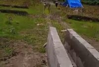 1768064727439-penampakan-proyek-irigasi-masuk-ke-persawahan-oehani-desa-kolabe-kecamatan-amfoang-utara-kabupaten-kupang-ntt-dok-victor-imanu-1768044790153_43