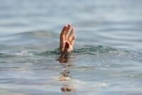 1768129518309-337afd98-fda1-48a9-9666-dbfa253c3833_43