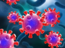 1768302325947-ilustrasi-virus_43