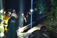 1768496733250-pohon-tumbang-1768487479163_43